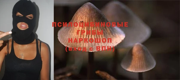 дурь Бугульма