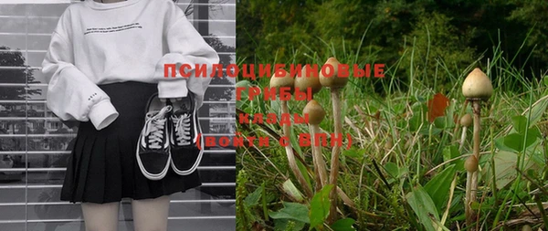 амф Бронницы