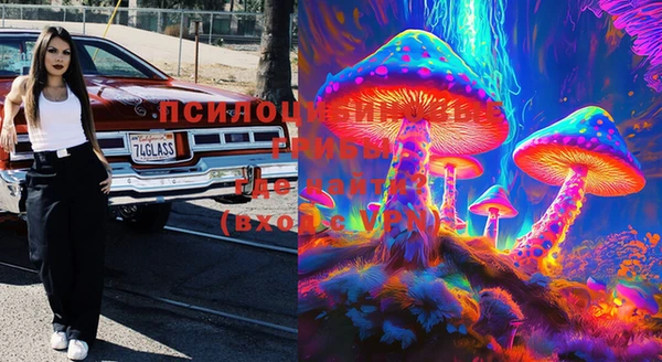 дурь Бугульма